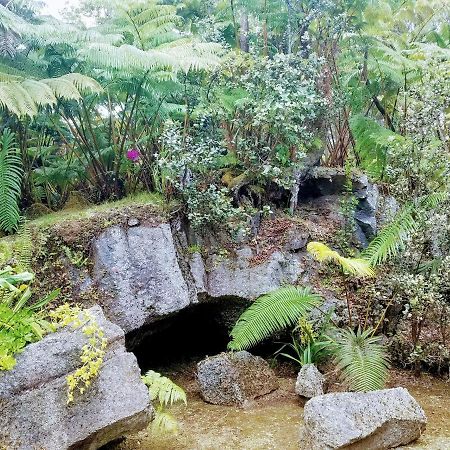 'Ama'U Lani Cottage Volcano Luaran gambar