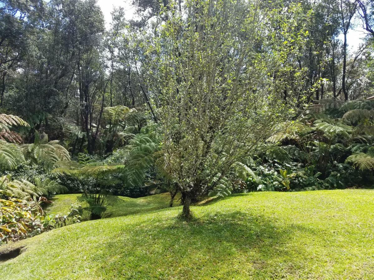 'Ama'U Lani Cottage Volcano Luaran gambar