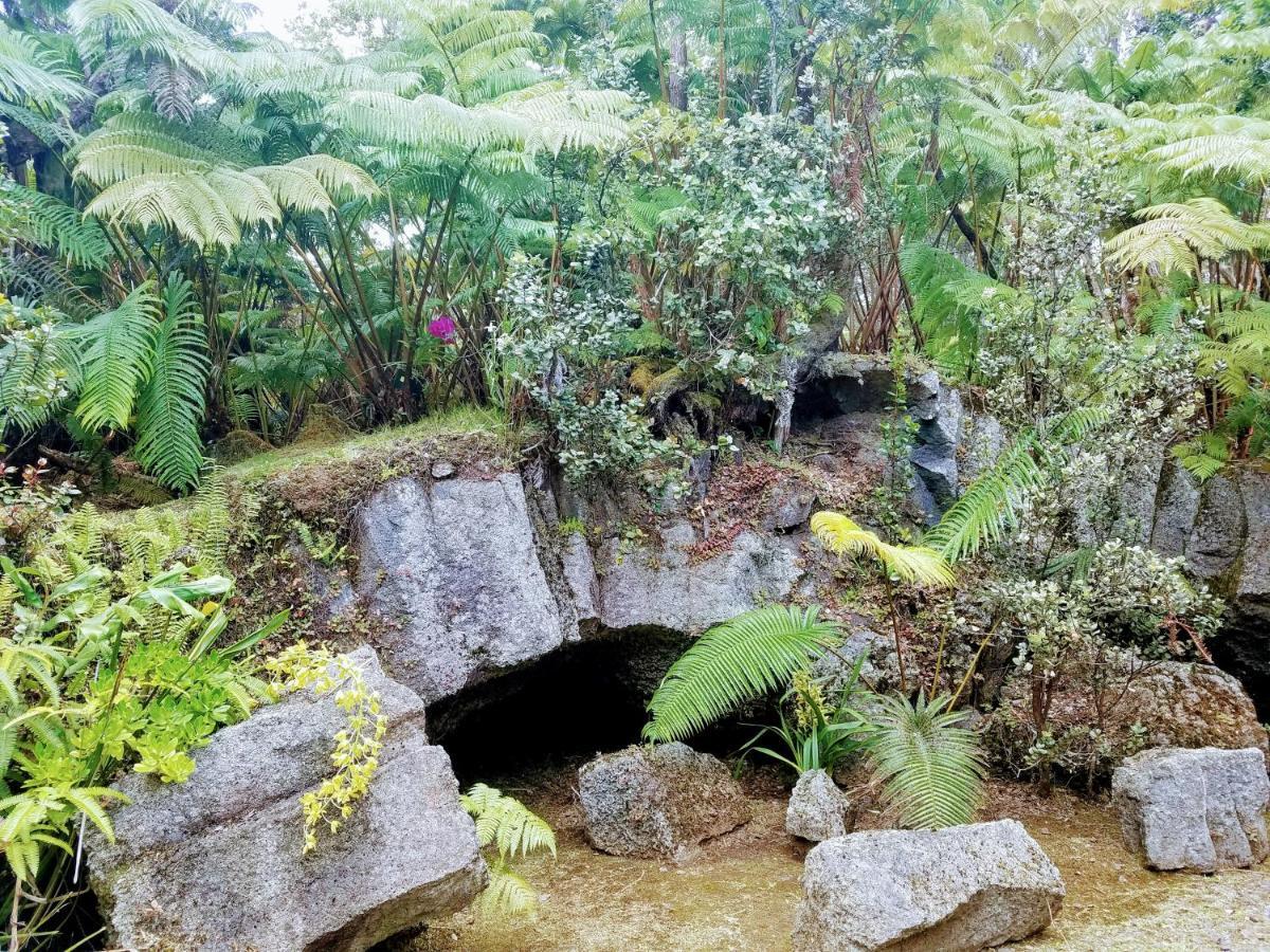 'Ama'U Lani Cottage Volcano Luaran gambar